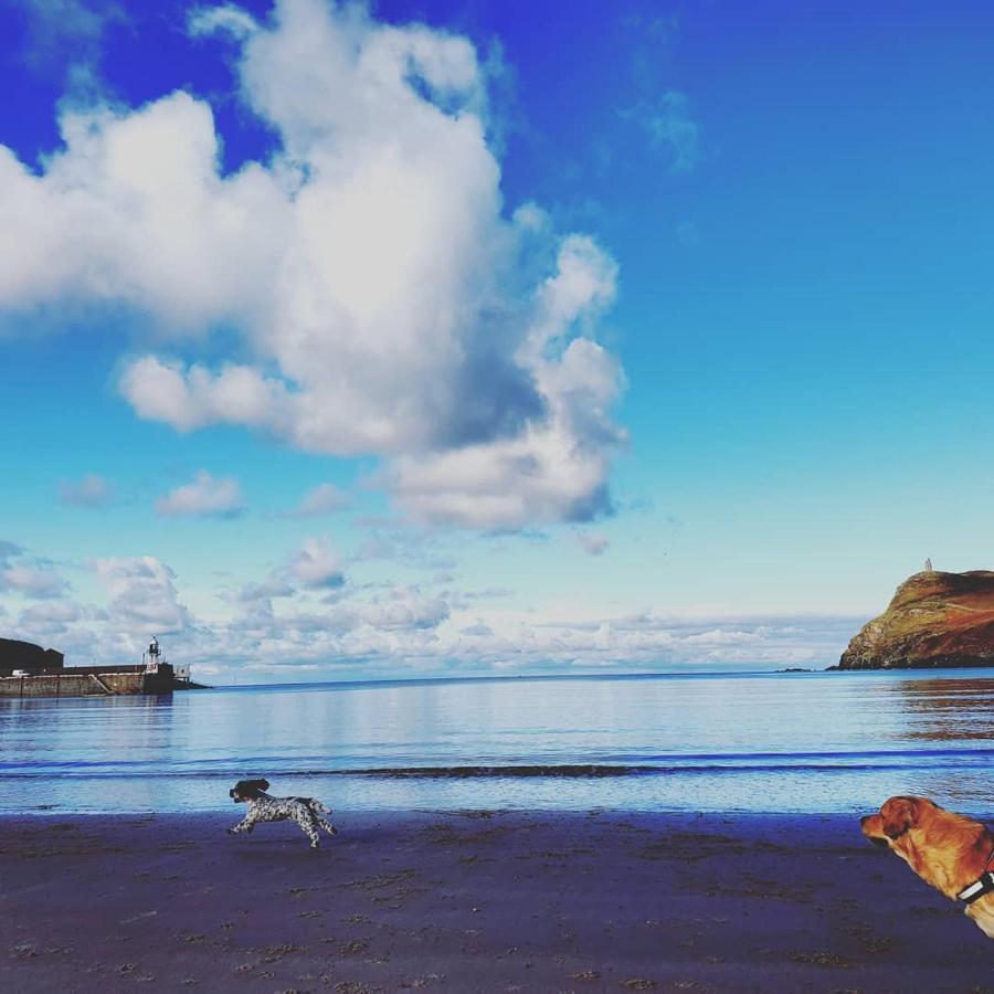 Gorgeous Cottage By Sandy Beach Dog Friendly Порт Ерин Екстериор снимка